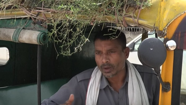 பலரின் மனதை கவர்ந்த ஆட்டோ டிரைவர்... மேற்கூரையில் செடிகளை வளர்க்க இதுதான் காரணமா... சூப்பரா இருக்கு!
