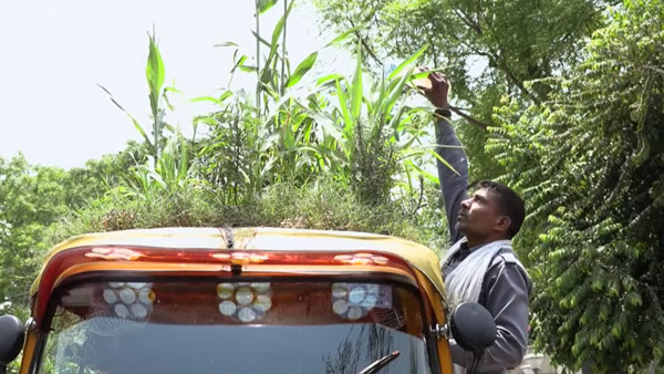 பலரின் மனதை கவர்ந்த ஆட்டோ டிரைவர்... மேற்கூரையில் செடிகளை வளர்க்க இதுதான் காரணமா... சூப்பரா இருக்கு!