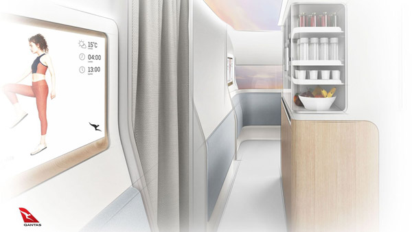 20 மணி நேரம் தொடர்ந்து பறக்கும்,உலகின் நீண்ட தூரம் பயணிக்கும் விமானம் விரைவில் அறிமுகம்