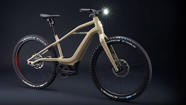 ஒரு முறை சார்ஜ் பண்ணா போதும் 95 கிமீ தாராளமா பயணிக்கலாம்... செம்மையான எலெக்ட்ரிக் மிதிவிண்டி அறிமுகம்!