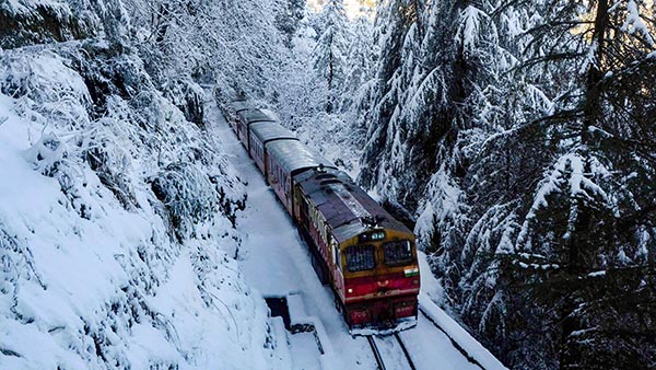 மனசை லேசாக்கும் ஊட்டி மலை ரயில் பயணம்... எவ்ளோ செலவு ஆனாலும் பரவால... வாழ்க்கைல ஒரு தடவையாச்சும் போயிரணும்!
