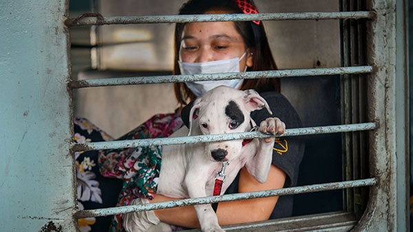 இரவு ரயில்களில் பெண்களால் டிக்கெட் எடுக்காமலேயே செல்ல முடியுமா? அடிக்கடி பயணிப்பவர்களுக்குக் கூட இந்த ரூல்ஸ்கள் தெரியாது !