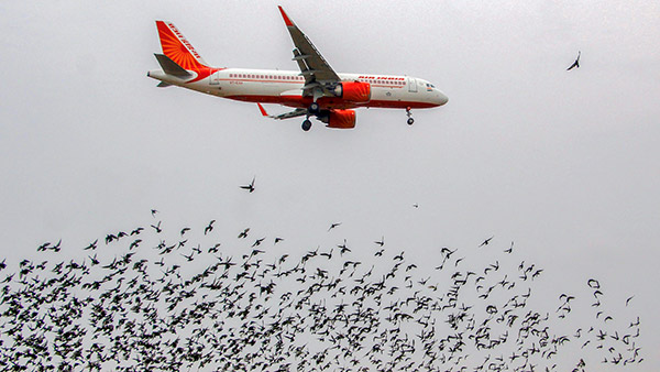 விமான பயணத்தில் ஏற்படும் காது அடைப்பு / வலி பிரச்சனையை இவ்வளவு ஈசியா சரி பண்ணலாமா ?