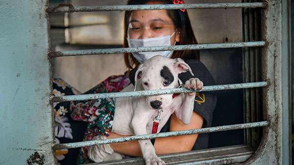 ரயில் கதவுகளுக்கு அருகே உள்ள ஜன்னல்களில் மட்டும் கம்பிகள் ஏன் அதிகமாக உள்ளன தெரியுமா? நம்ம பாதுகாப்பிற்காக சூப்பரான ஐடியா!