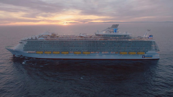 மீனுக்காக மட்டும் அல்ல! டால்பின்கள் ஏன் கப்பல்களை பின் தொடர்ந்து வருகின்றன தெரியுமா? இப்படி ஒரு குணம் இருக்கா?