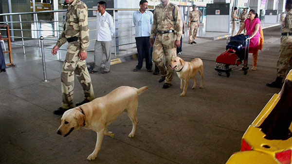 இதை கூட கண்டுபிடிக்குமா? விமான நிலைய மோப்ப நாய்களிடம் இருக்கும் அதிசய சக்தி... மனிதர்களால் முடியவே முடியாது!