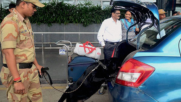 இதை கூட கண்டுபிடிக்குமா? விமான நிலைய மோப்ப நாய்களிடம் இருக்கும் அதிசய சக்தி... மனிதர்களால் முடியவே முடியாது!