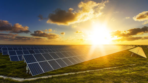 அமெரிக்க மின் வாகன உற்பத்தி நிறுவனத்தை கையகப்படுத்தும் இந்திய நிறுவனம்... மலிவு விலையில் இ-கார்களை களமிறக்க திட்டம்! 