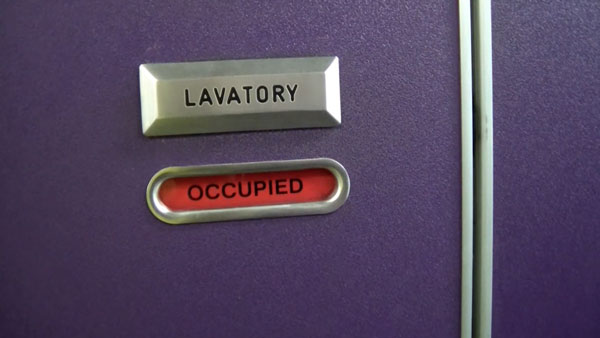 விமானங்களின் பாத்ரூமில் ஒரு ரகசிய பட்டன் இருக்கும்... எதற்காக தெரியுமா? தெரியாத்தனமா அதை அழுத்தீராதீங்க!