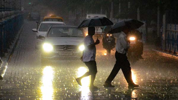 “ஸீப்ரா க்ராஸிங்கை யாரும் கவனிப்பதில்லை... வாகன ஓட்டிகள் தான் பார்த்து செல்லனும்” - நீதிமன்றம்