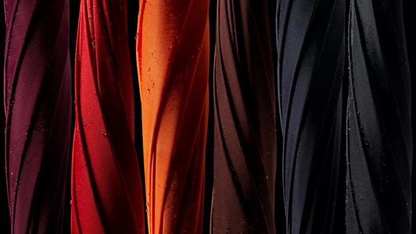 எவ்வளவு காசு கொடுத்தாலும் வாங்க முடியாது . . . ரோல்ஸ் ராய்ஸ் காரில் உள்ள குடைக்கு அப்படி என்ன ஸ்பெஷாலிட்டி தெரியுமா ? 