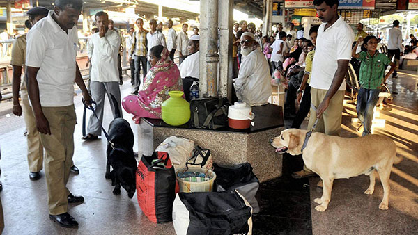 நாய்-பூனைகளையும் இனி ரயிலில் அழைத்து செல்லலாம்... இதற்கு கட்டணம் எவ்வளவு தெரியுமா? இதோ முழு விபரம்!