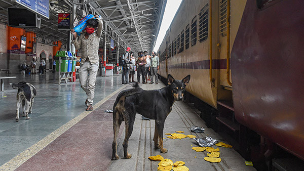 நாய்-பூனைகளையும் இனி ரயிலில் அழைத்து செல்லலாம்... இதற்கு கட்டணம் எவ்வளவு தெரியுமா? இதோ முழு விபரம்!
