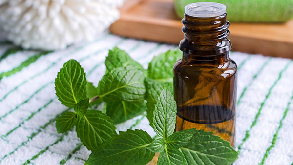 எலி தொல்லையை ஒழிக்க பெங்களூரு நபர் கையாண்ட விநோதம்... எலி என்ன எறும்பாலகூட புக முடியாது!