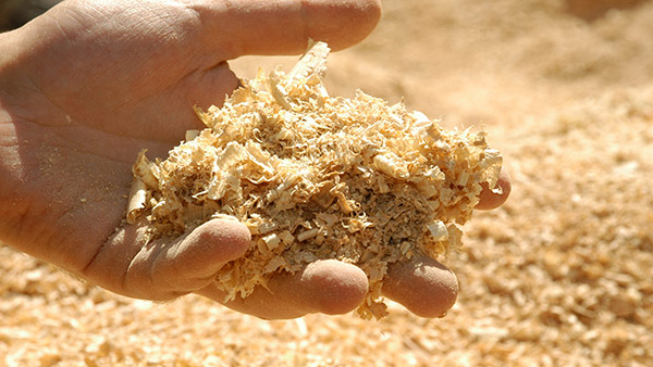 இந்த எரிபொருள் எல்லாம் பயன்பாட்டுக்கு வந்திருந்தா பெட்ரோல் இருந்த தடமே இல்லாம போயிருக்கும்... துரதரிஷ்ட வசமா லேப விட்டுகூட வெளிவரல!