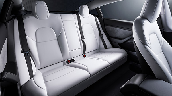 சைவ காராக மாறப் போகும் டெஸ்லா . . . இப்ப கொஞ்சம் அசைவமாகத்தான் இருக்குதாம் . . .