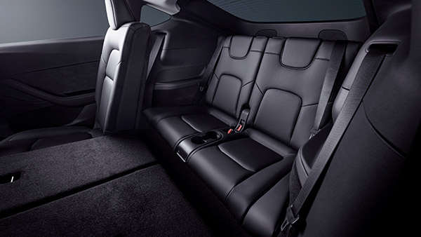 சைவ காராக மாறப் போகும் டெஸ்லா . . . இப்ப கொஞ்சம் அசைவமாகத்தான் இருக்குதாம் . . .