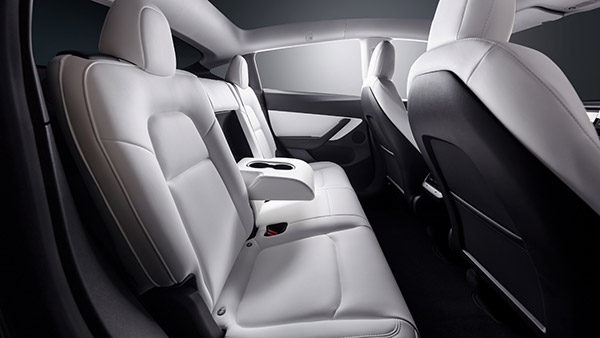 சைவ காராக மாறப் போகும் டெஸ்லா . . . இப்ப கொஞ்சம் அசைவமாகத்தான் இருக்குதாம் . . .