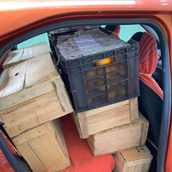 டாடா பஞ்ச்