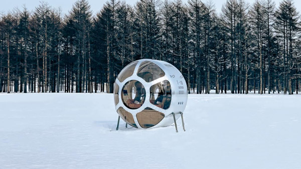 பலூன் விமானம்