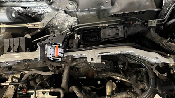 ஹாரியர்