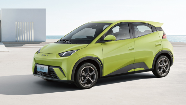 Byd seagull front profile