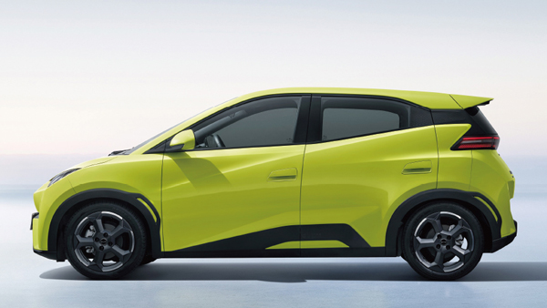 Byd seagull side profile