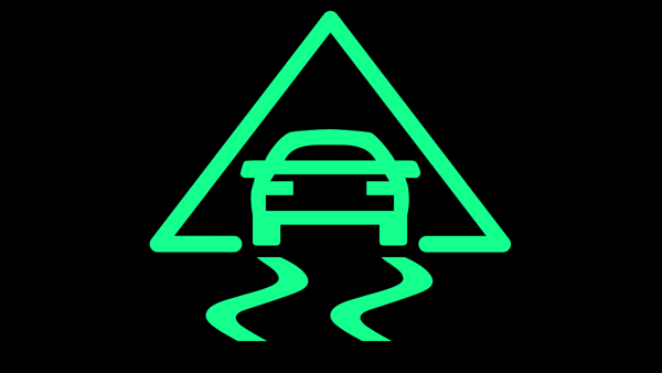 Electronic stability control image Electronic stability control image