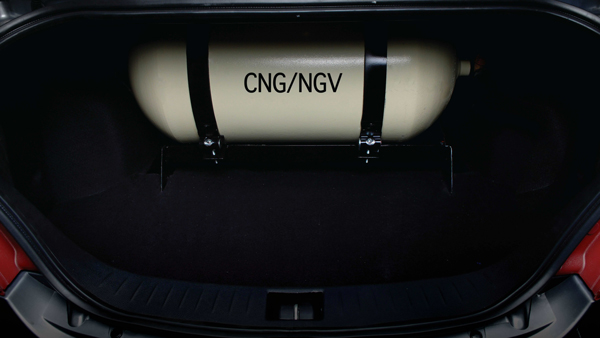 cng not offered in top variants