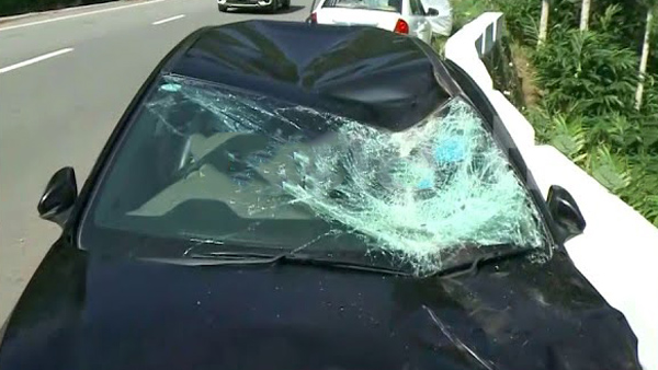 Elephant Attack Hyundai i20