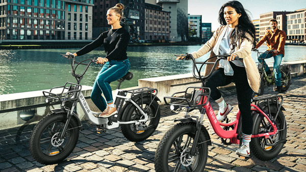 engwe l20 e-bike engwe l20 e-bike