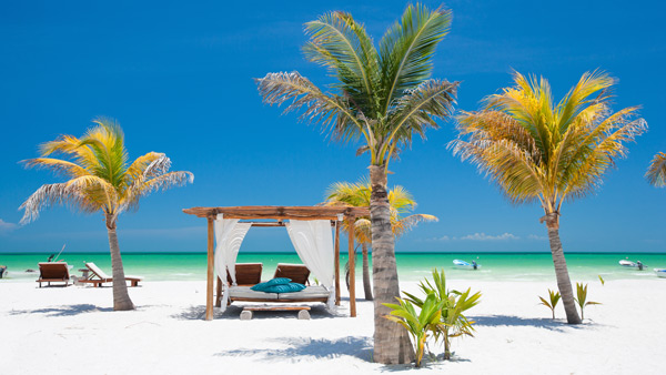 cars banned places in earth