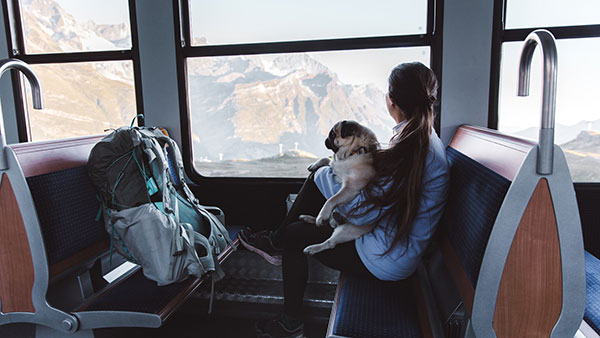 Pets Ticket in IRCTC