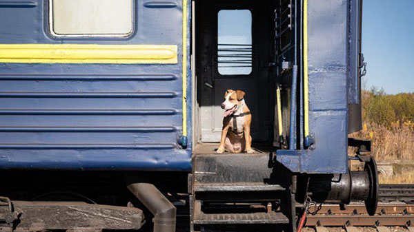 Pets Ticket in IRCTC