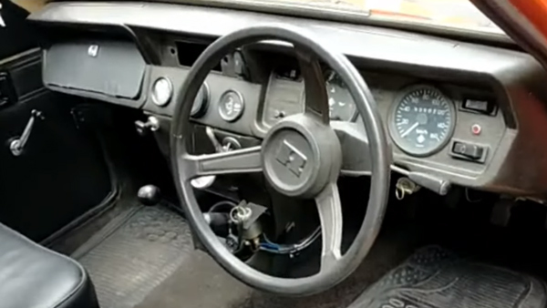 sipani dolphin found in kerala