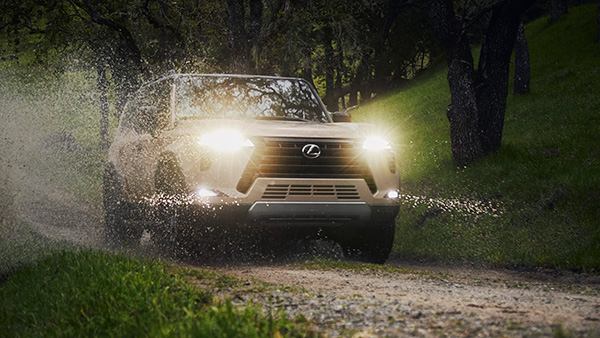 Lexus gx action shot