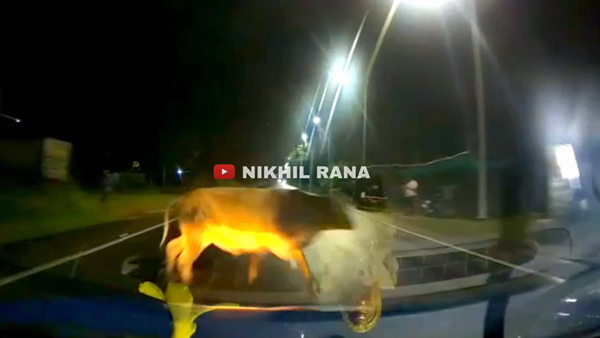 Bull met accident with nexon car