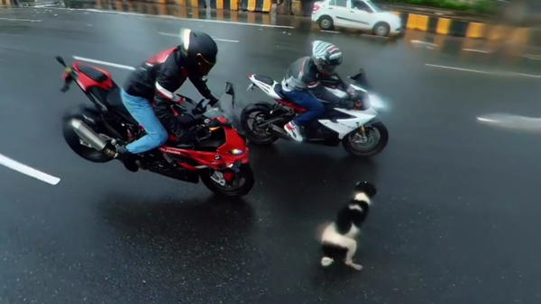 1000cc superbike rider met dog