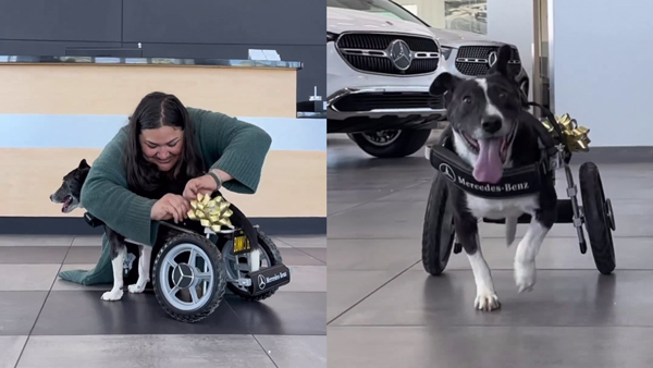 mercedes benz custom build wheelchair