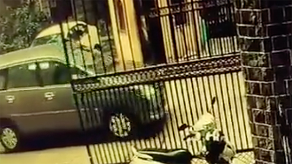 toyota innova driven by kid