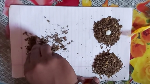 Naphthalene ball and some tobacco