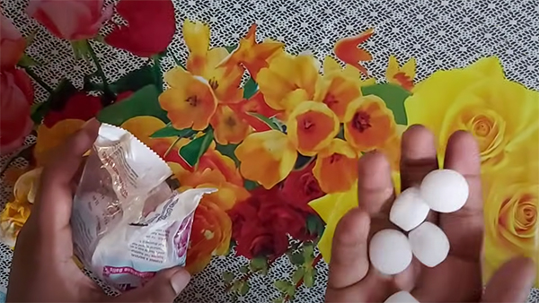 Keep away rats from car