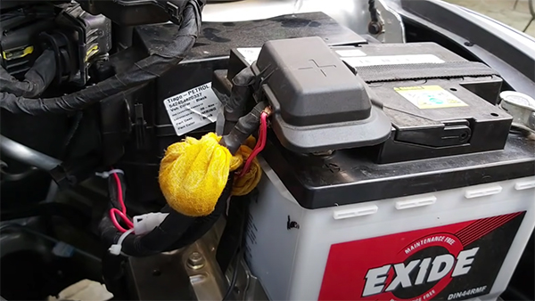 Keep rats away from the car