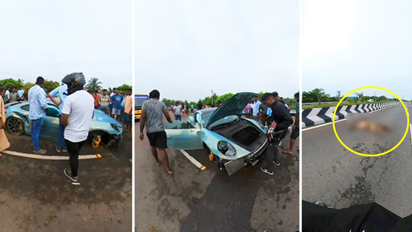 porsche 911 crashes into cow