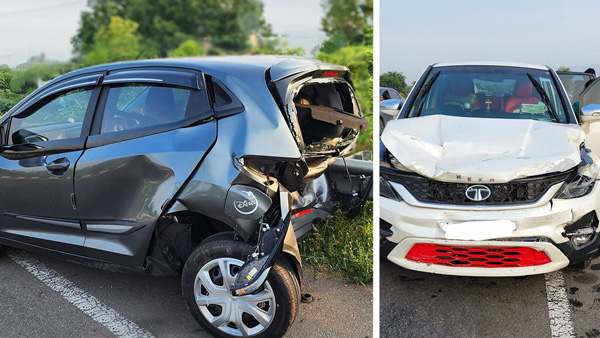 cars collided to save dog