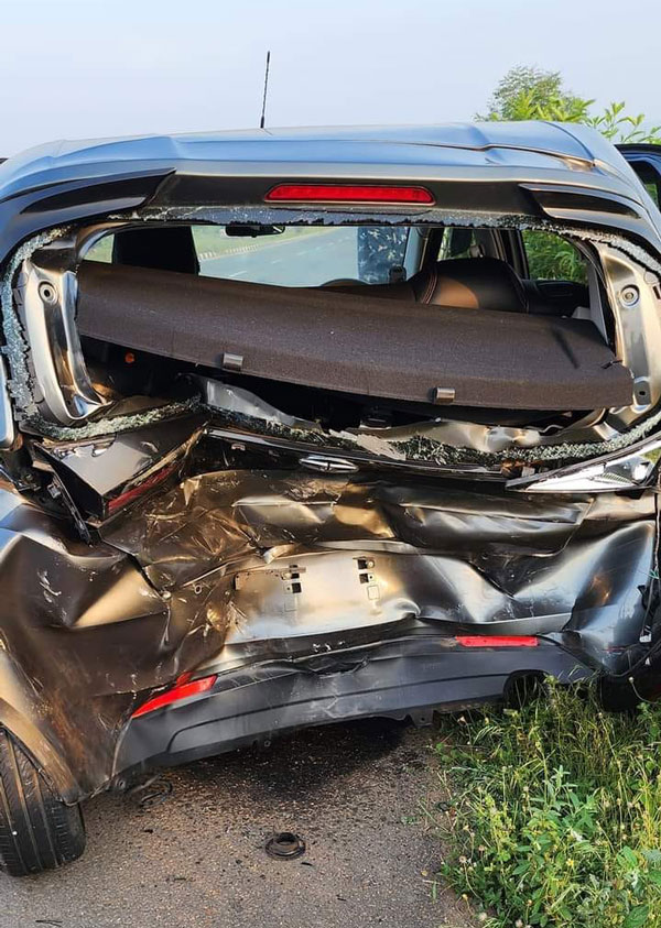 cars collided to save dog