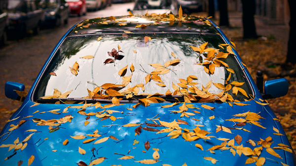 Rainy Season Driving