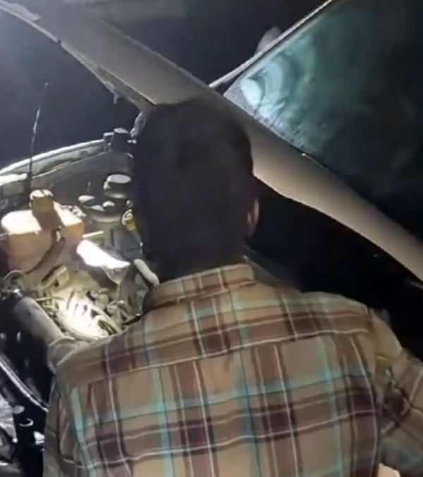 King Cobra Hides Inside A Car King Cobra Hides Inside A Car