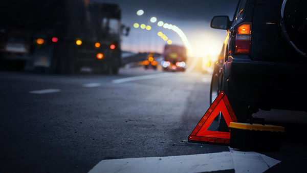 Motor Vehicle Insurance