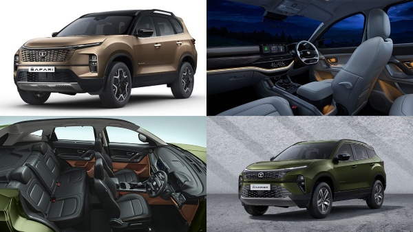 Bookings opens for safari harrier